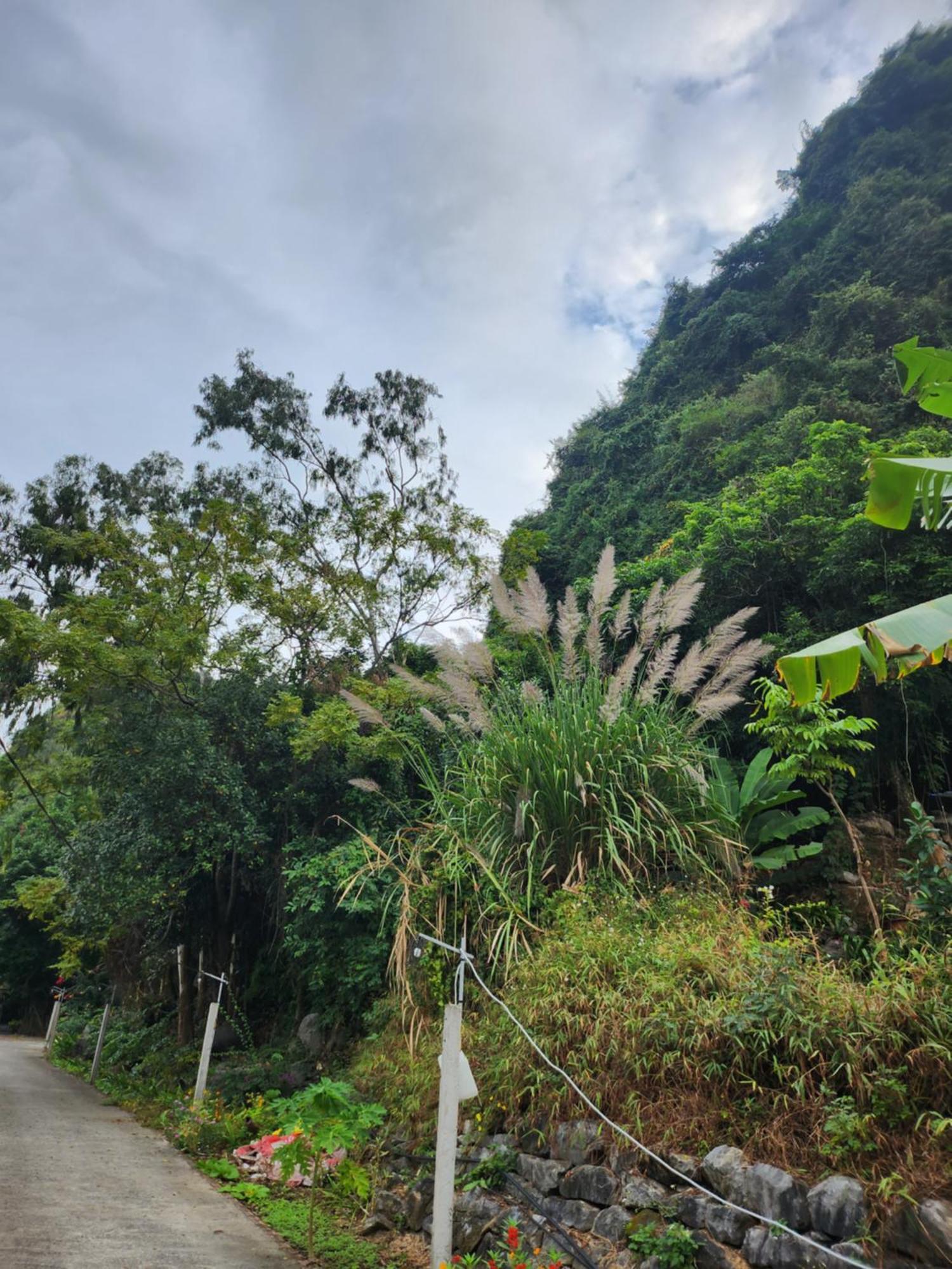 2Stones Cat Ba Homestay Chan Chau Exterior photo